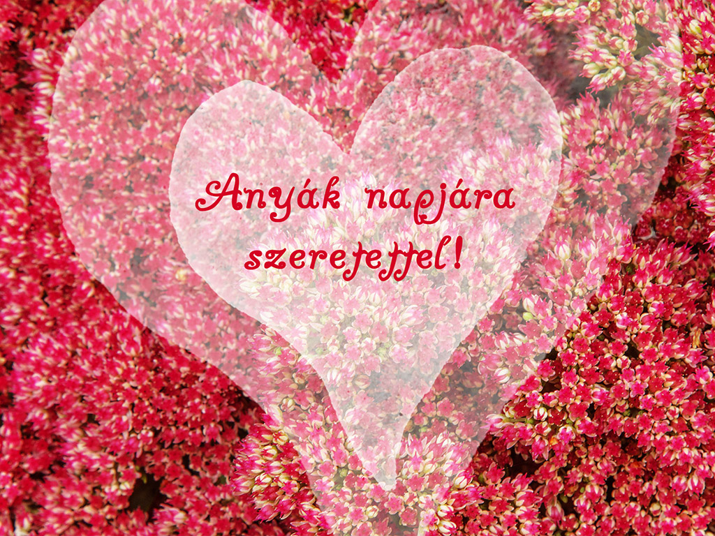 anyák napi kép